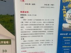 -盐城丹顶鹤湿地生态旅游区