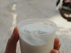 -洪馨椰子