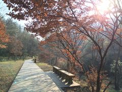 -木兰云雾山