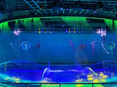 -上海海昌海洋公园