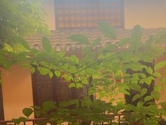 -小江南(老洋桥店)