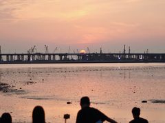 -宝安西湾红树林湿地公园