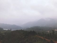 -田心森林公园