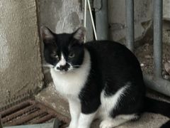 -南京工程学院(江宁校区)