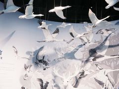 -中国湿地博物馆
