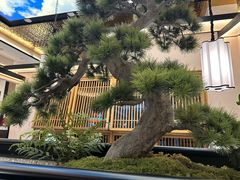 -径山十八道·风味民间菜(杭州总店)