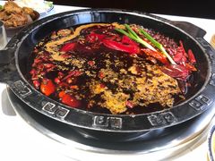 -卤校长老火锅(杨家坪直营店)