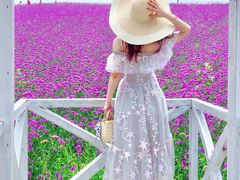 -大塘金香草谷