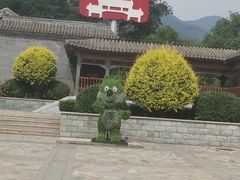 -阳台山自然风景区