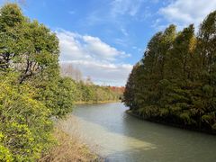 -上海海湾国家森林公园