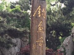 -钓鱼台国宾馆