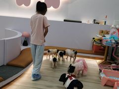 -猪盟咖啡店(玖洲道店)