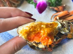 清蒸淡水阳澄湖大闸蟹-如轩·海鲜砂锅粥·潮汕菜(三乡店)