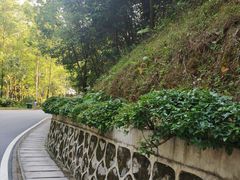-火炉山森林公园