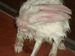 -味庄·家宴(金海四路店)