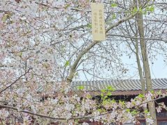 -堤角公园
