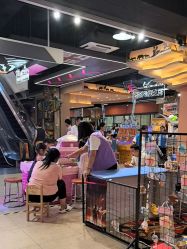 -卡通尼·Safari非洲探索乐园·生日会(金桥国际商业广场店)