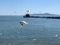 -老味道民宿(栈桥店)