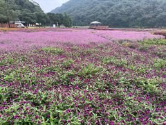 -广州市石门国家森林公园