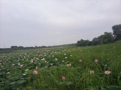 -哈尔滨大剧院