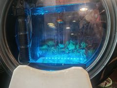 -卧龙堡客栈·中餐厅(古北水镇店)