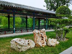 -舒心阁养生堂采耳(中山北路店)