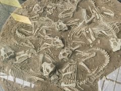 -房山世界地质公园博物馆