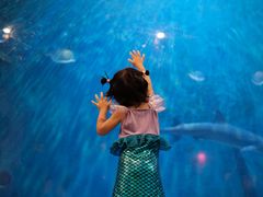 -华夏文旅海洋公园