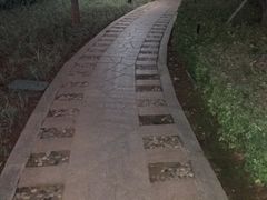 -江头公园