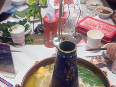 -董记老清泉·鲜切涮羊肉(窑岭店)