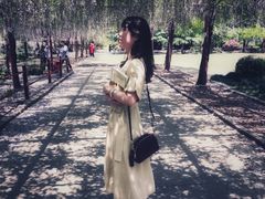 -嘉定紫藤园