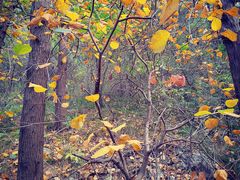 -佛慧山
