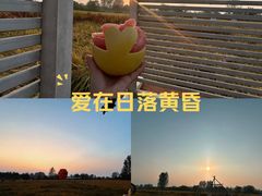-林间山庄