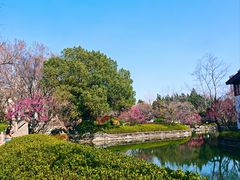 -肯德基(洛川店)