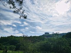 -神光山国家森林公园