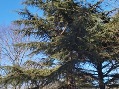 -北京植物园南门售票处