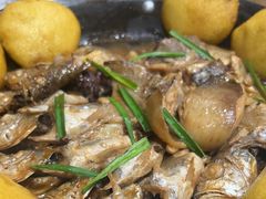 -渔码头食府·20年蓬莱老字号(登州路店)