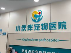 -小伙伴宠物医院·CT·骨科·眼科(高新店)