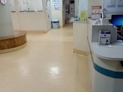 -瑞派宠物医院·24小时骨科·心脏·核磁(哈尔滨南岗店)