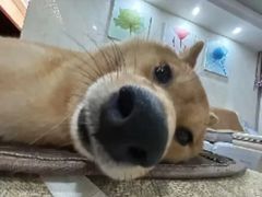 -COMMUNE幻师(渔人码头店)