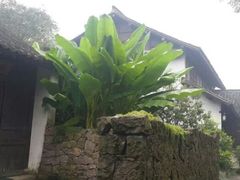 android_upload_pic-法云安缦酒店