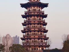 -洋湖国家湿地公园