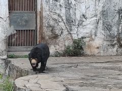 -广州动物园