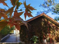 -大兴滨河森林公园