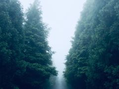 -山王坪喀斯特国家生态公园