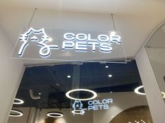 -COLOR PETS 撸猫馆·购猫·猫咖(长风大悦城店)