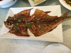胖姐新村风味鱼村-胖姐渔村(中源大道店)