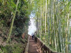 -蜀南竹海景区