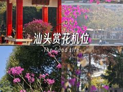 -金砂公园