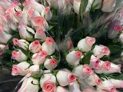 -循礼门鲜花花市(武汉循礼门店)